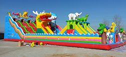 Inflatable Castle Project
