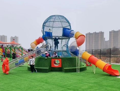 HJJ021 Octopus-themed custom slide