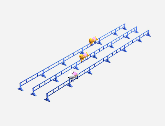 HJJ020 Pig Race outdoor playground equipment