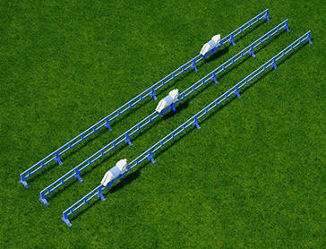 HJJ020-Pig-Race-outdoor-playground-equipment-10