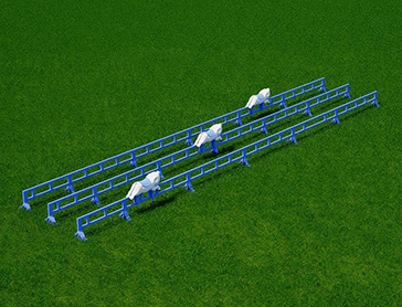 HJJ020-Pig-Race-outdoor-playground-equipment-11