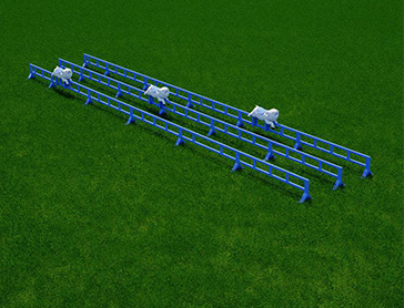 HJJ020-Pig-Race-outdoor-playground-equipment-12