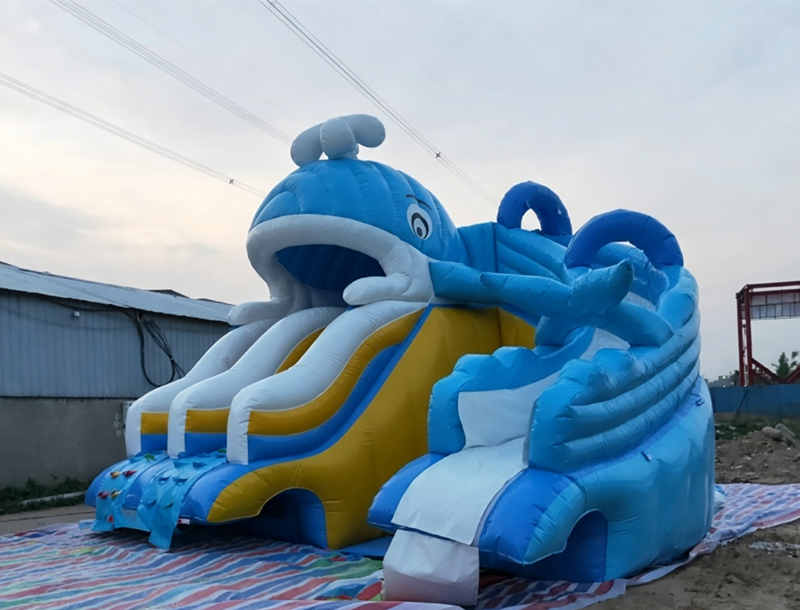 Little Whale Inflatable Water Slide