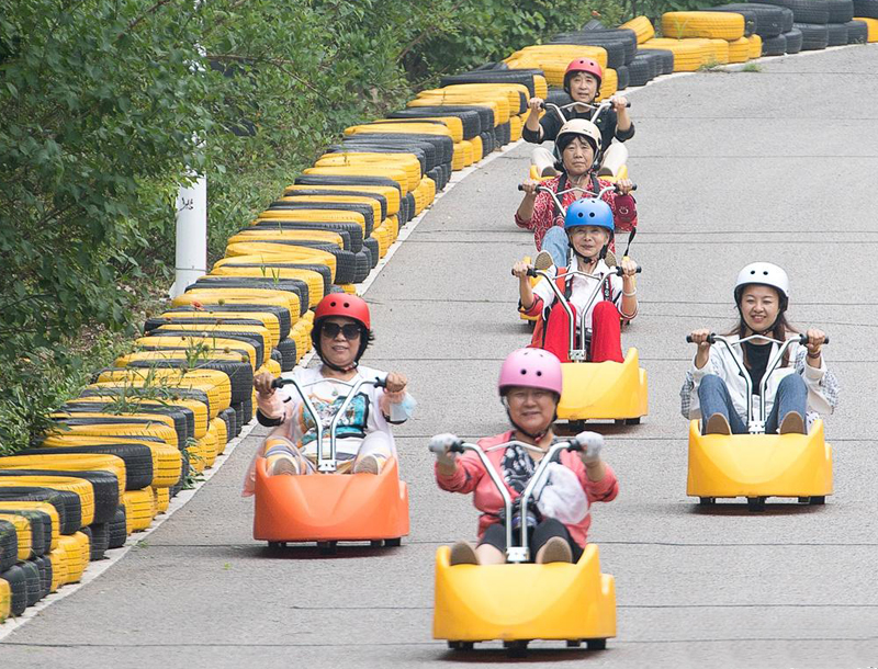 Mountain luge cart outdoor amusement equipment